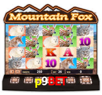 Daily Bonuses p9bet